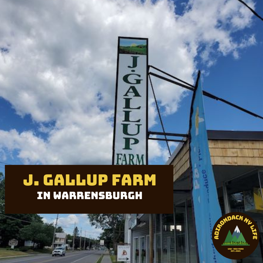 J. Gallup Farm Store in Warrensburgh