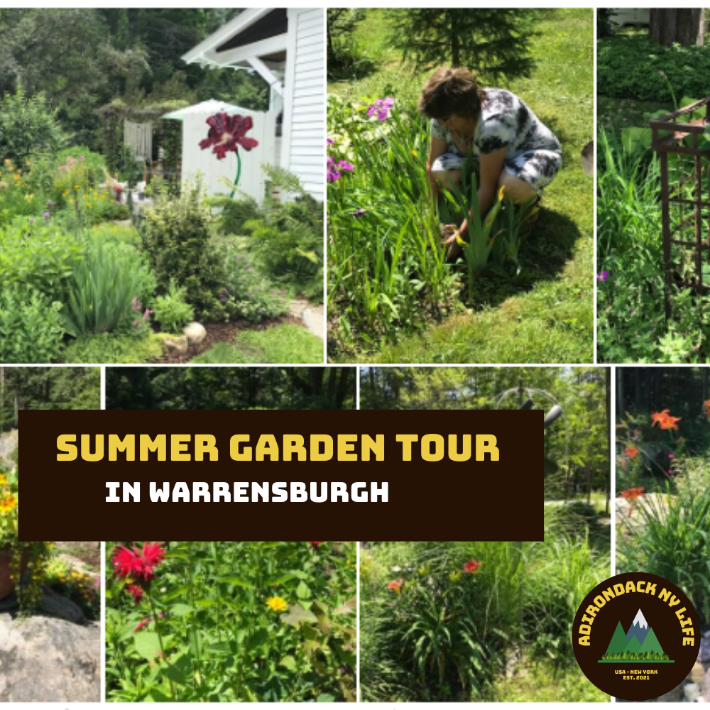 Summer Garden Tour & Presentation in Warrensburgh2022