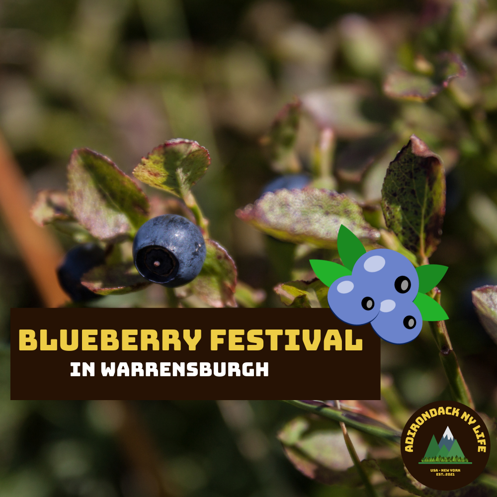 Blueberry Festival in Warrensburgh